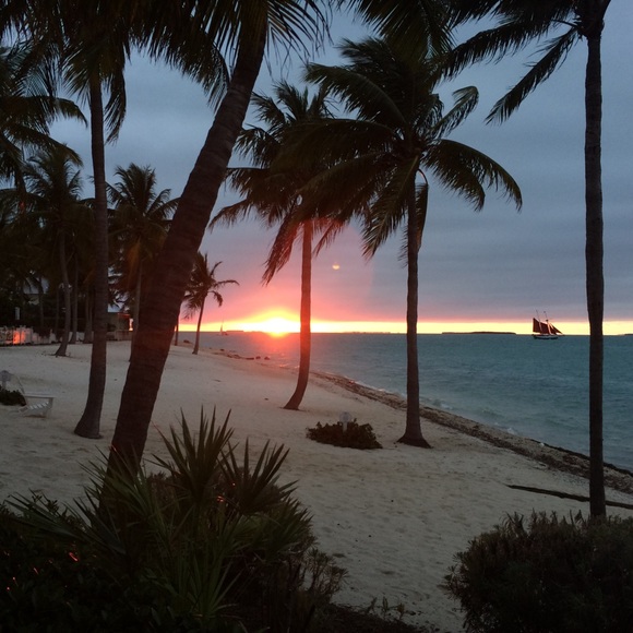 Meet your posher - Picture 3 of 10